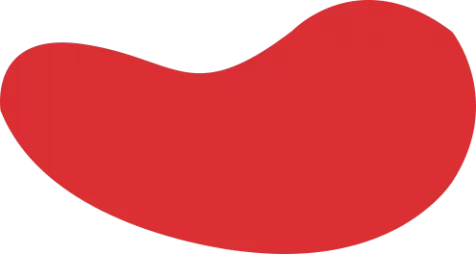 PA真人-PLAYACE官网